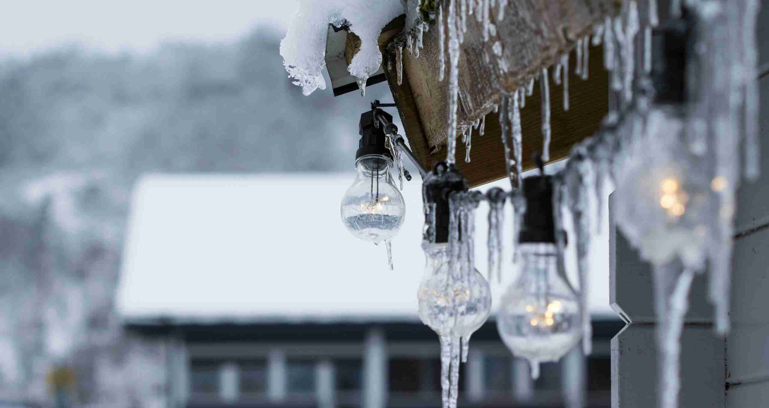 Turned on Clear Light Bulbs