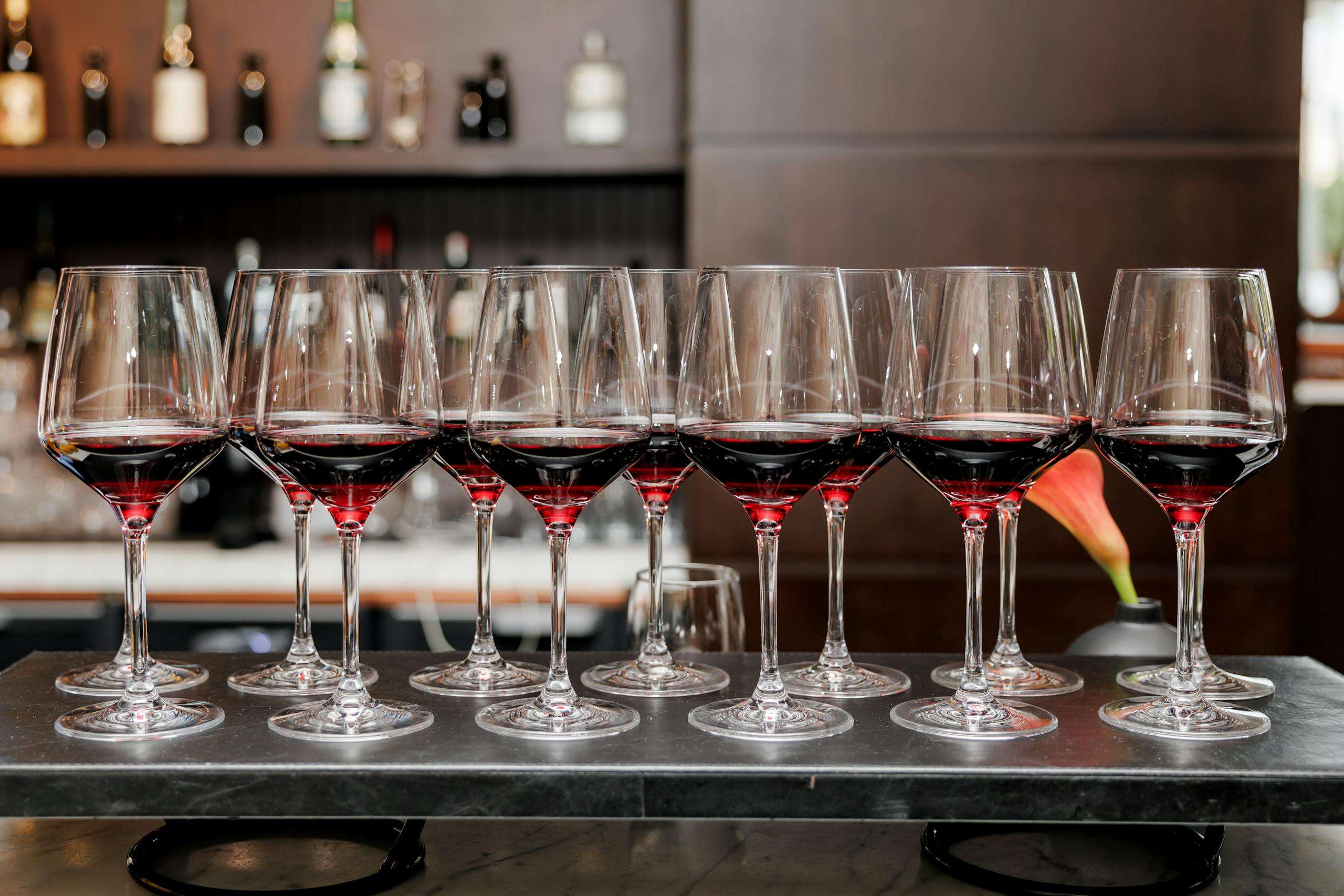 Forest Wines Organic Red Wine: A Sustainable Choice - Tamara Like Camera